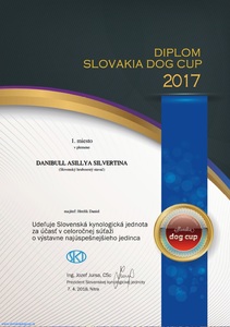 najlepsi-slovensky-hrubosrsty-stavac-2017-(1)